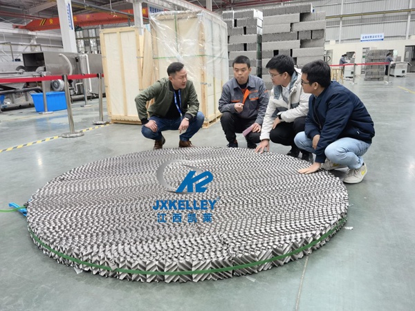 金屬孔板波紋填料項(xiàng)目 金屬孔板波紋填料項(xiàng)目